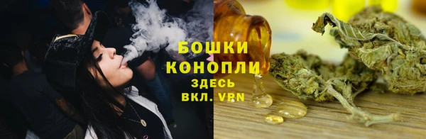 прущие грибы Арсеньев