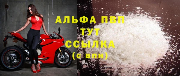 прущие грибы Арсеньев